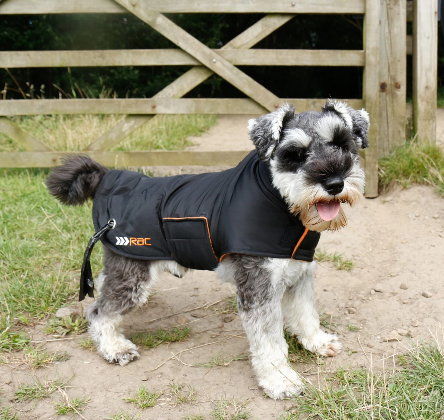 RAC RAC Small Advanced Waterproof Dog Coat 4 RAC RAC Small Advanced Waterproof Dog Coat - Image 2