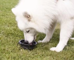 RAC Advanced Silicone Foldable Bowl 2 Pack -Car Supplies Store 544277208511601cfba2f3d251c3bd5c1634805197