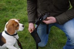 RAC RAC Advanced Multifunctional Dog Lead -Car Supplies Store 7a0f0325b681ef92fdc4a8c9093f920d1490181616