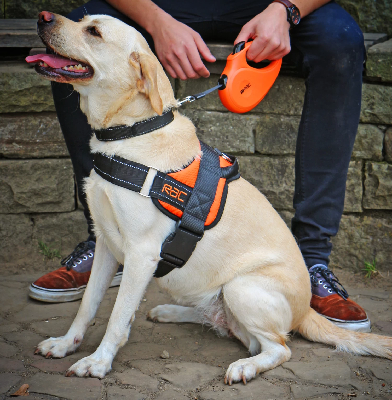 RAC RAC Extra Large Advanced Walking Harness 7 RAC RAC Extra Large Advanced Walking Harness - Image 5