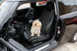 RAC RAC Advanced Car Seat Cover -Car Supplies Store a6e6c9dacb2913f4c86068ee363b9e541634291805