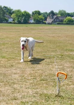 RAC RAC Tie-Out Kit - Stake, Cable & Cover