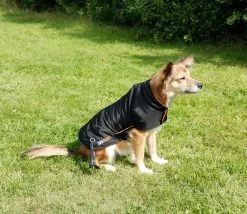 RAC RAC Medium Advanced Waterproof Dog Coat -Car Supplies Store d4077dcaee3b5644060d9d1dc7ba3b961634806713